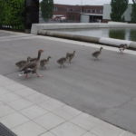 2014 k1 familienausflug 19 20140510