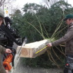 2014 k1 weihnachtsmarkt 4 20141225