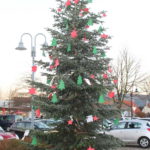 2015 k1 aufstellen weihnachtsbaum 1 20151213