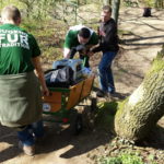 2015 k1 fruehlingswanderung 18 20150503