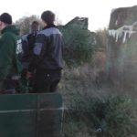 2016 knut tannenbaumsammlung 18 20160123