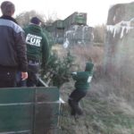 2016 knut tannenbaumsammlung 19 20160123