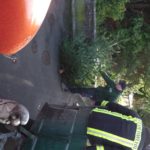 2016 knut tannenbaumsammlung 23 20160123