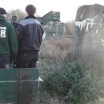 2016 knut tannenbaumsammlung 28 20160123