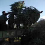 2016 knut tannenbaumsammlung 30 20160123