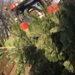 2016 knut tannenbaumsammlung 37 20160123