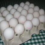 2004 k2 osterfeuer eierschiessen 1 20091122