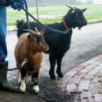 2005 k2 winterwanderung 1 20091121