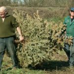 2006 k2 osterfeuer gruenannahme 2 20091119