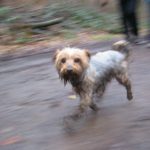 2006 k2 winterwanderung 27 20091119