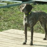 KONICA MINOLTA DIGITAL CAMERA