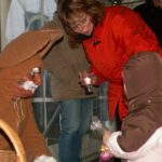 KONICA MINOLTA DIGITAL CAMERA