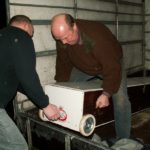 KONICA MINOLTA DIGITAL CAMERA