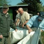 KONICA MINOLTA DIGITAL CAMERA