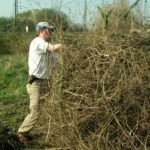 KONICA MINOLTA DIGITAL CAMERA