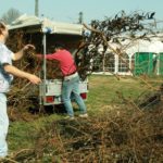 KONICA MINOLTA DIGITAL CAMERA