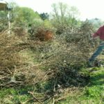 KONICA MINOLTA DIGITAL CAMERA