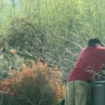 KONICA MINOLTA DIGITAL CAMERA