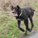 2011 k2 winterwanderung 17 20110314