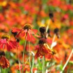 2012 familienfahrt maxipark 12 20170414