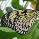 2012 familienfahrt maxipark 25 20170414