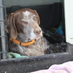 2012 k2 osterfeuer abbau 1 20130310