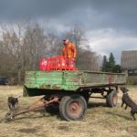 2013 k2 osterfeuer abbau 17 20140426