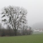 2013 k2 winterwanderung 14 20130525