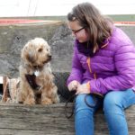 2015 k2 osterfeuer aufbau 36 20170417