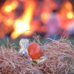2016 k2 osterhase 16 20160417