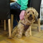 2017 k2 eierschiessen 18 20170402