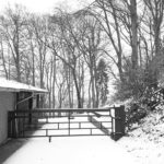 20180228 182031 resized