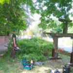 WP 20180512 16 12 17 Pro y