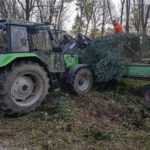 3C3FB8E8 3E61 49C3 AAD2 D2B291766CCE