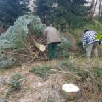 6E28CE9A 66C8 4388 8DCD D3122CF59CBE