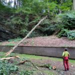 PHOTO 2020 10 01 21 40