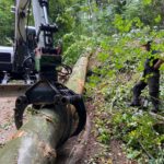 PHOTO 2020 10 01 21 40