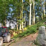 PHOTO 2020 10 01 21 42