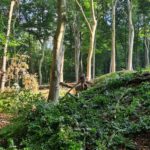 PHOTO 2020 10 01 21 42 35