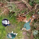 13 de1e72d3 1b2d 4b7a 8f1b 2d1aa77e6588