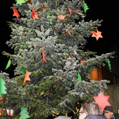 2015 Aufstellen des Weihnachtsbaumes